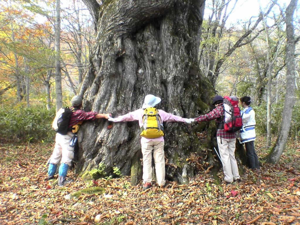 Pension Milky House Shinano  Eksteriør billede